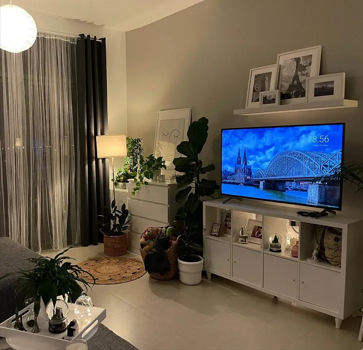 Jotun White Linen living room accent wall Jotun White Linen living room accent wall