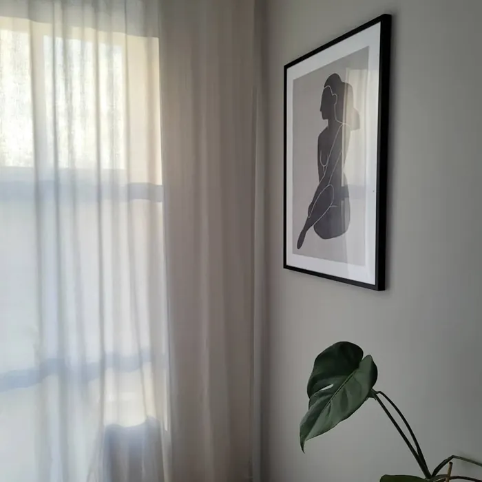 Jotun White Linen wall paint color Jotun White Linen wall paint color