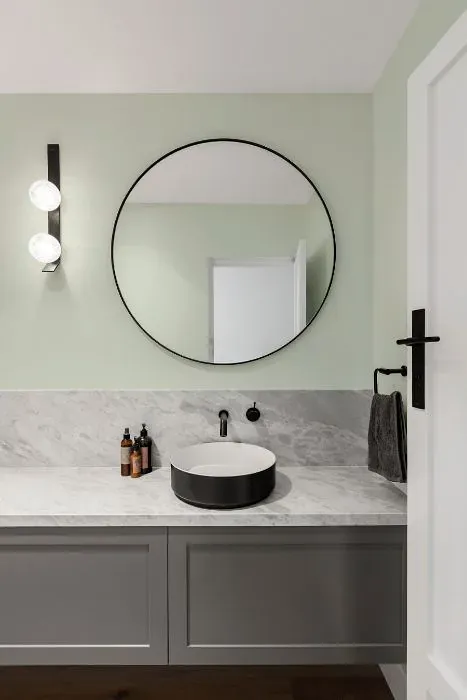 Sherwin Williams White Mint minimalist bathroom