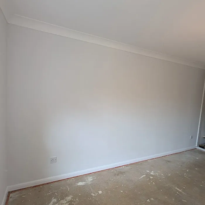 Dulux White Mist wall paint 