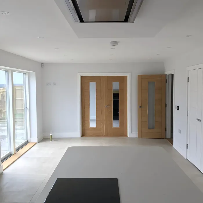 Dulux White Mist kitchen color review