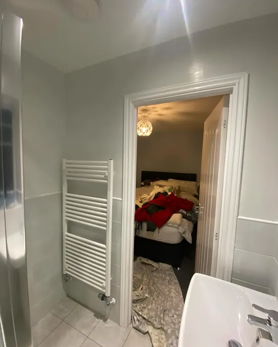 Dulux White Mist bathroom review