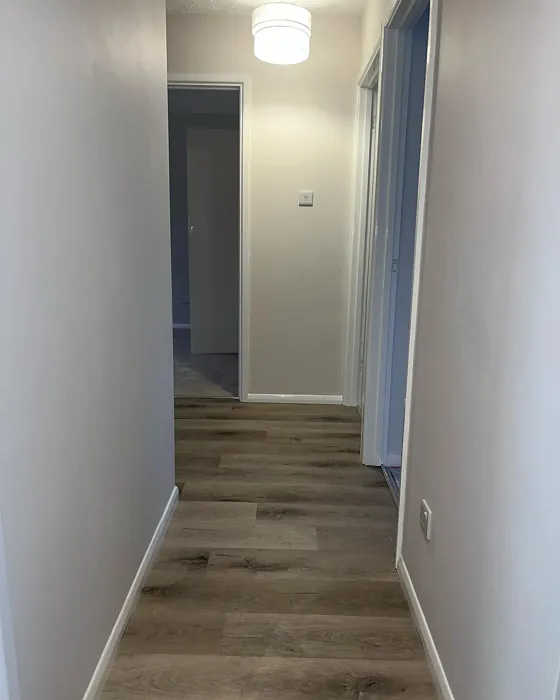 Dulux White Mist hallway color review