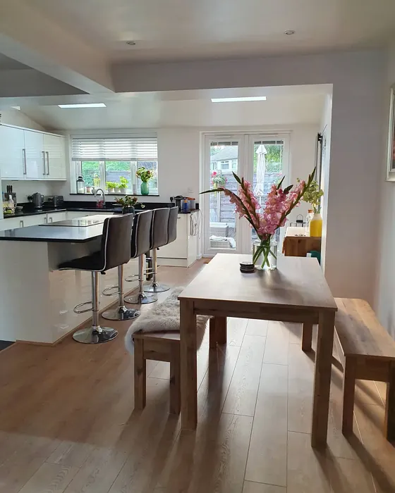 Dulux White Mist kitchen paint review