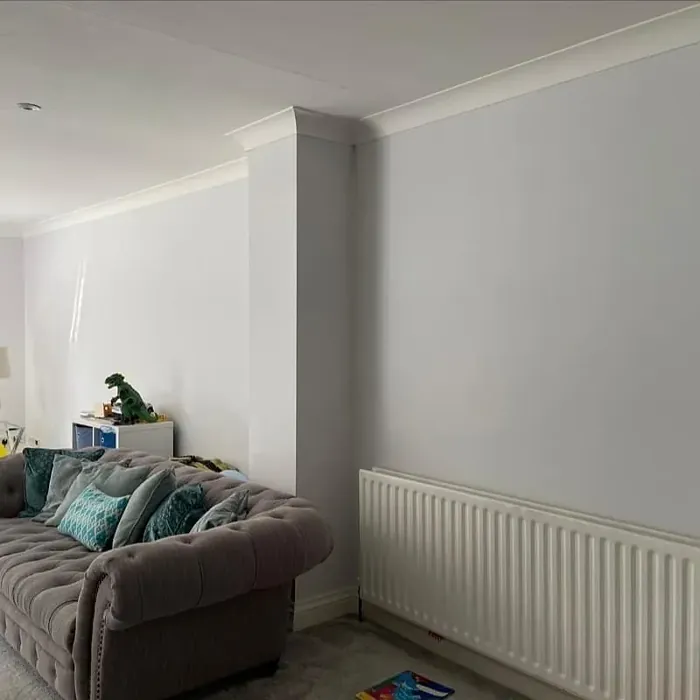 Dulux White Mist living room interior idea