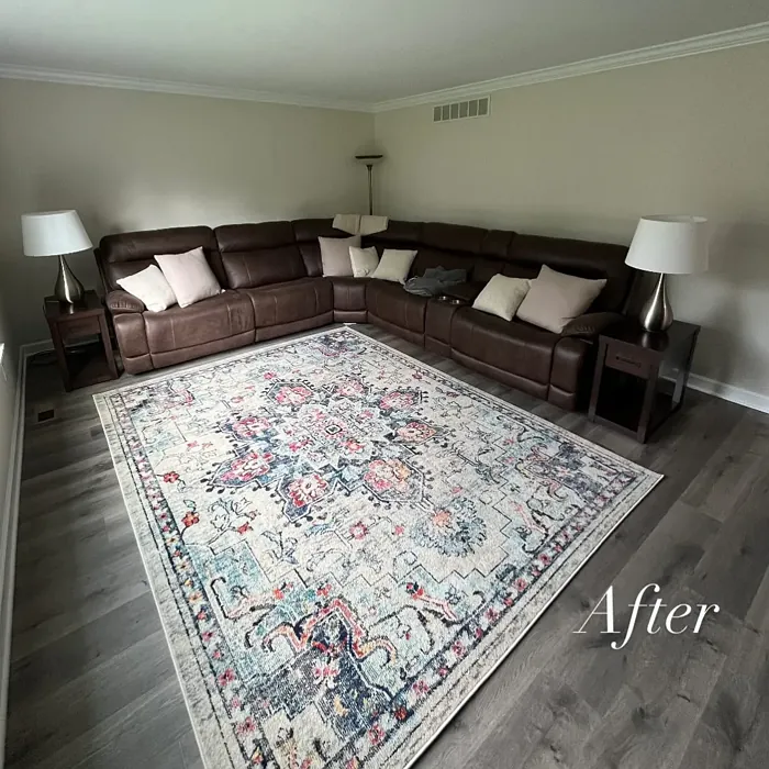 SW White Sesame living room color review SW White Sesame living room color review