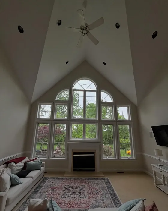 Sherwin Williams SW 9586 living room color Sherwin Williams SW 9586 living room color