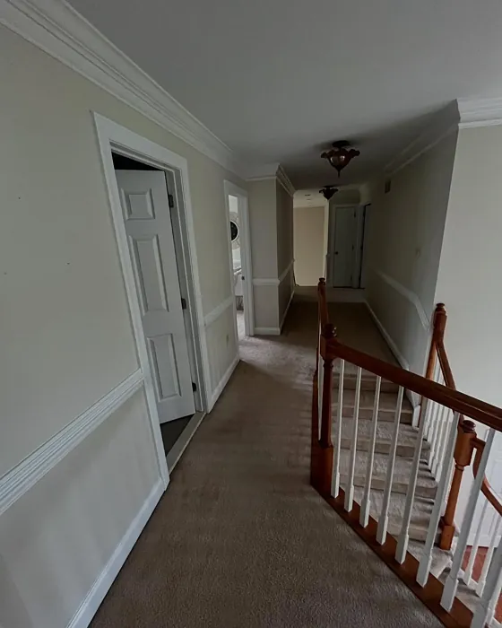 SW 9586 hallway paint review SW 9586 hallway paint review