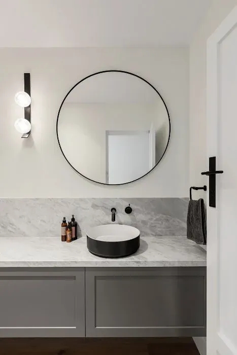 Sherwin Williams White Snow minimalist bathroom