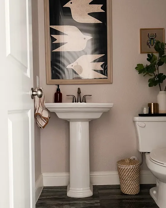 SW White Truffle bathroom paint review