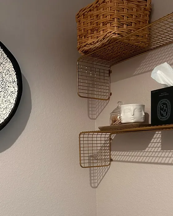 SW White Truffle bathroom color