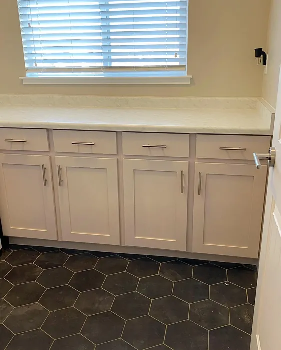 White Truffle painted cabinets color