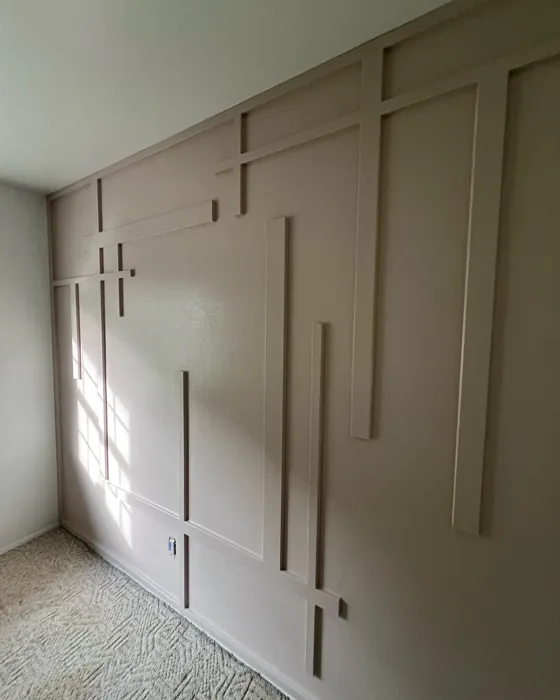 Sherwin Williams White Truffle accent wall 