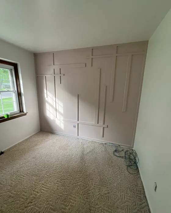 Sherwin Williams White Truffle accent wall color