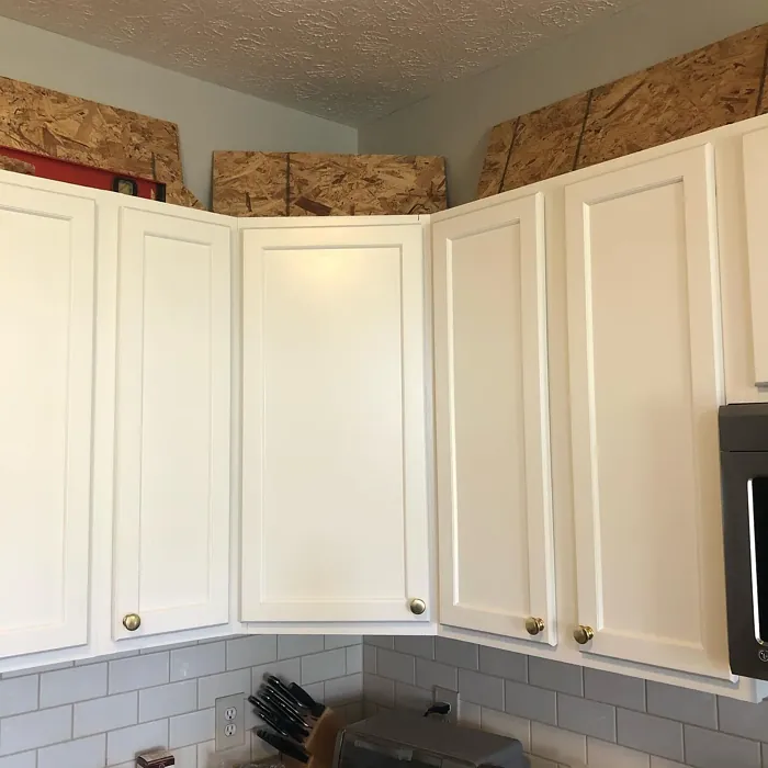 SW 7103 kitchen cabinets color