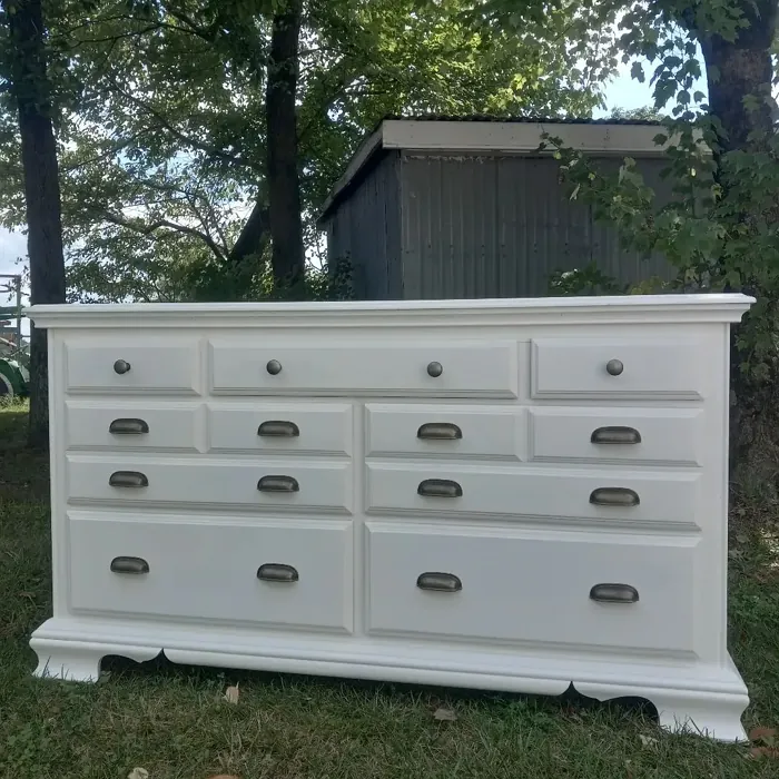 SW Whitetail painted furniture color