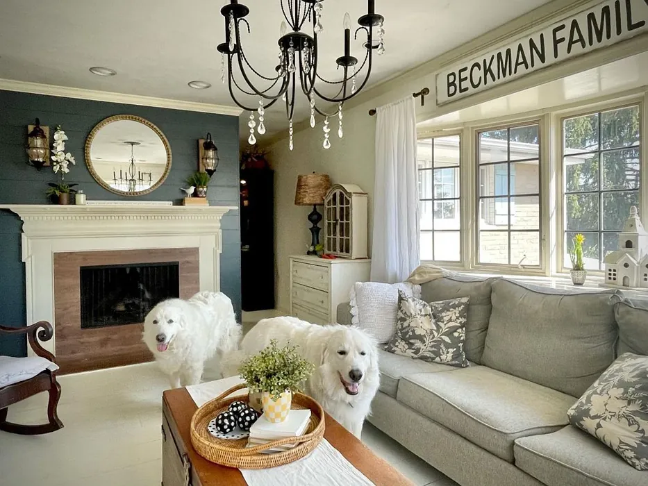 Whitetail Living Room Paint Color