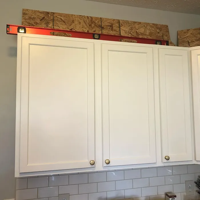 SW Whitetail kitchen cabinets color