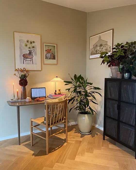 Jotun Wild Earl scandinavian home office paint review