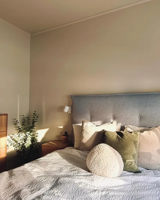 Jotun Wild Earl cozy bedroom color review