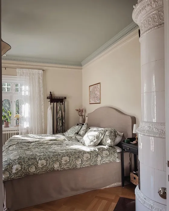 Jotun Wild Earl modern bedroom paint review