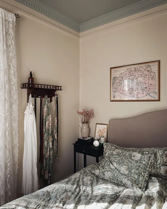 Jotun Wild Earl modern bedroom color