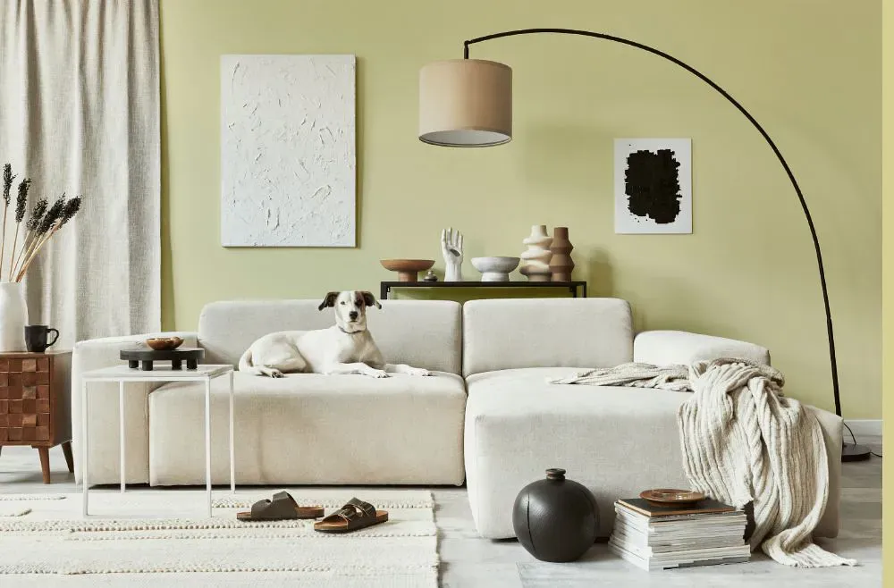 Sherwin Williams Wild Lime cozy living room
