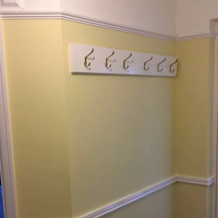 Dulux Wild Primrose hallway paint