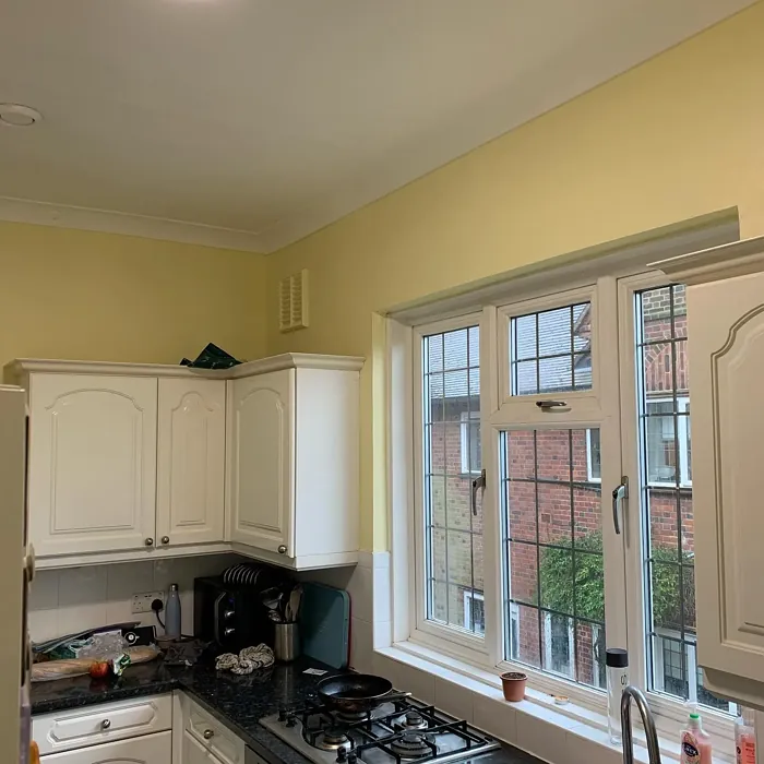 Dulux Wild Primrose kitchen review