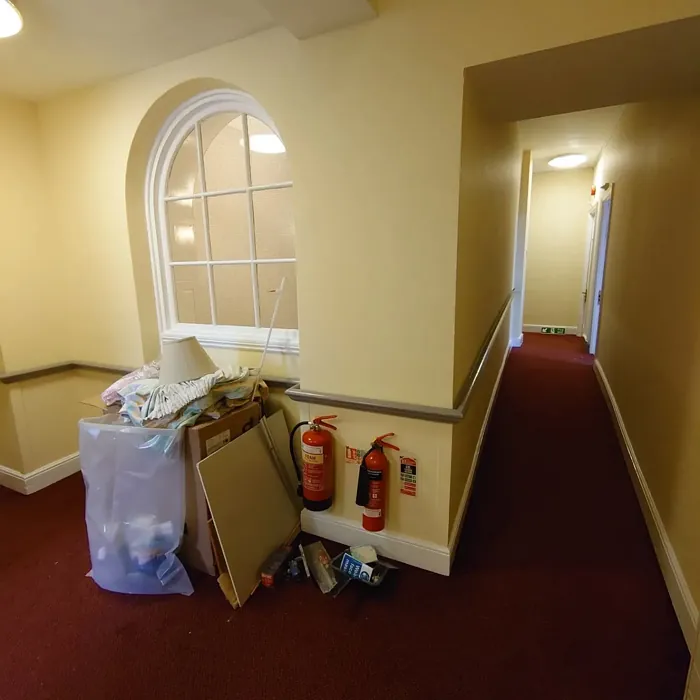 Dulux Wild Primrose hallway makeover