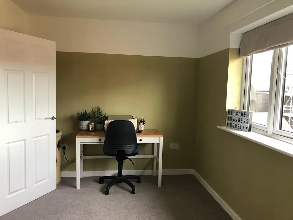 Dulux Wild Wonder home office 