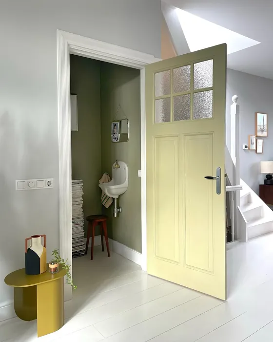 Dulux Wild Wonder door review