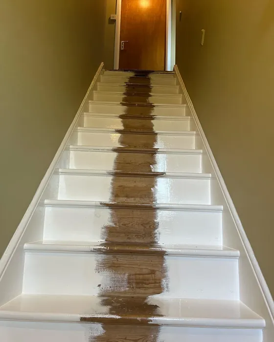 Dulux Wild Wonder stairs color