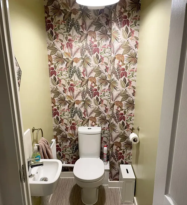 Dulux Wild Wonder bathroom color