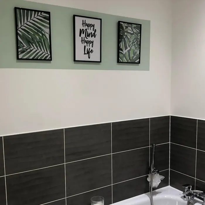 Willow Tree bathroom color review