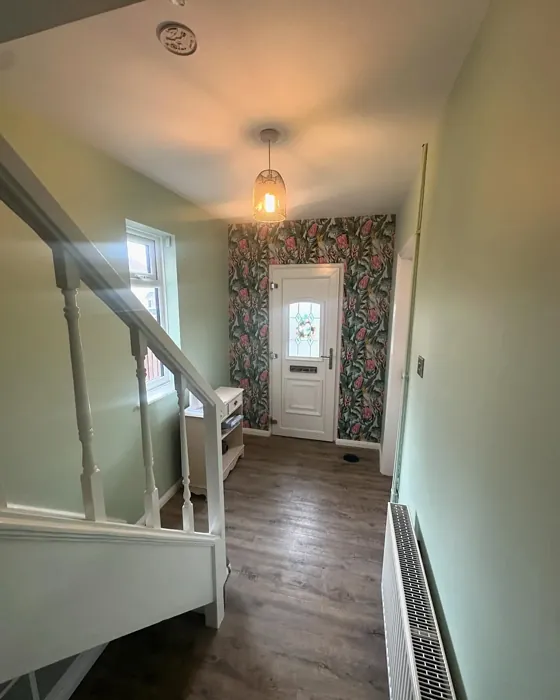 Dulux Willow Tree hallway color