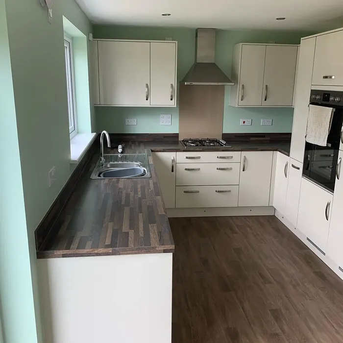 Dulux Willow Tree kitchen interior