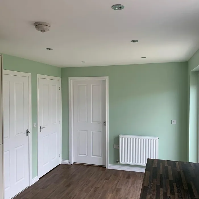 Dulux Willow Tree dining room color review