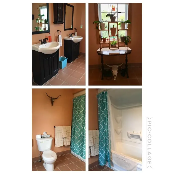 Sherwin Williams Windswept Canyon bathroom color