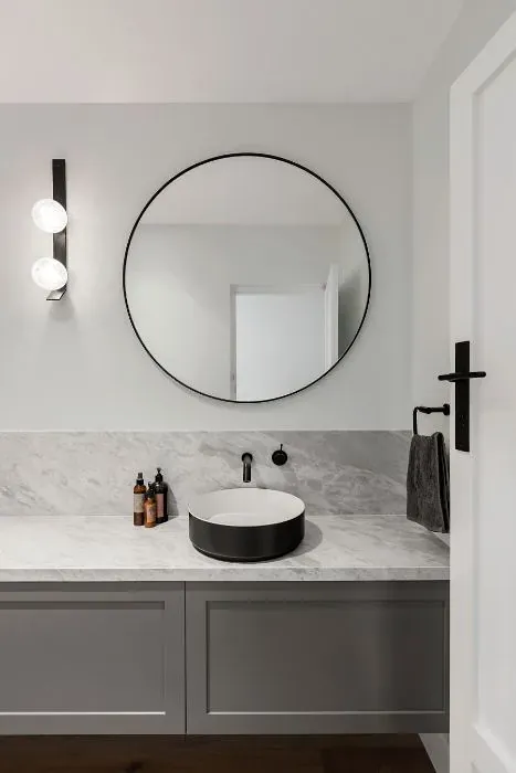 Sherwin Williams Winsome Grey minimalist bathroom