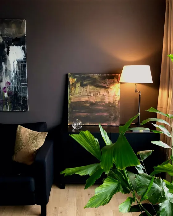 Jotun Wisdom living room paint review