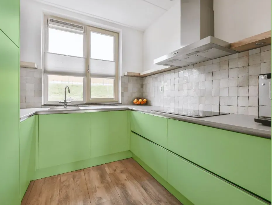 Sherwin Williams Witty Green small kitchen cabinets