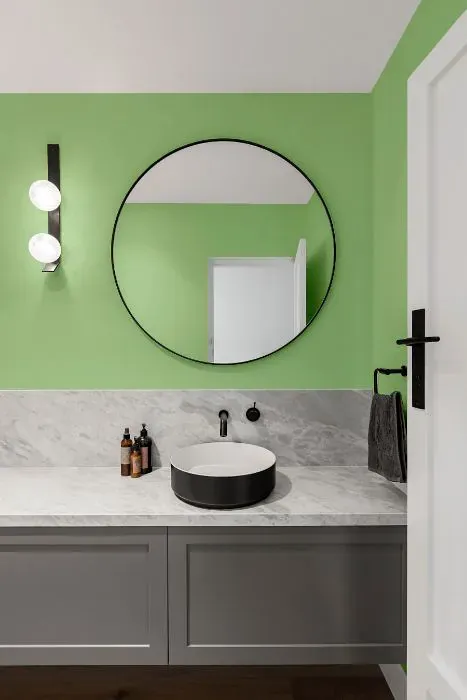 Sherwin Williams Witty Green minimalist bathroom