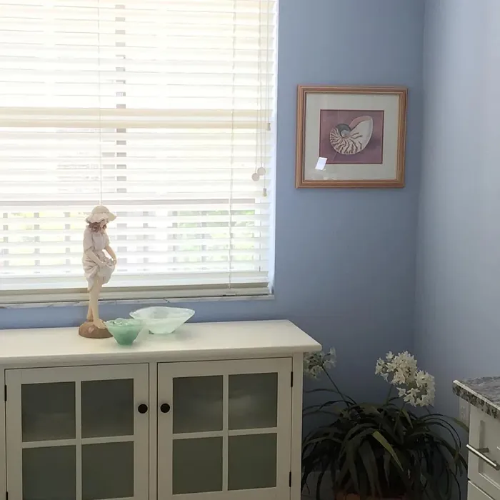 SW Wondrous Blue kitchen color