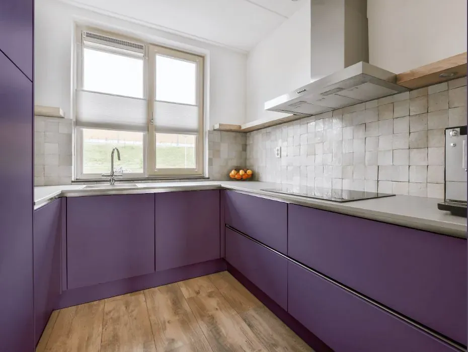 Sherwin Williams Wood Violet small kitchen cabinets