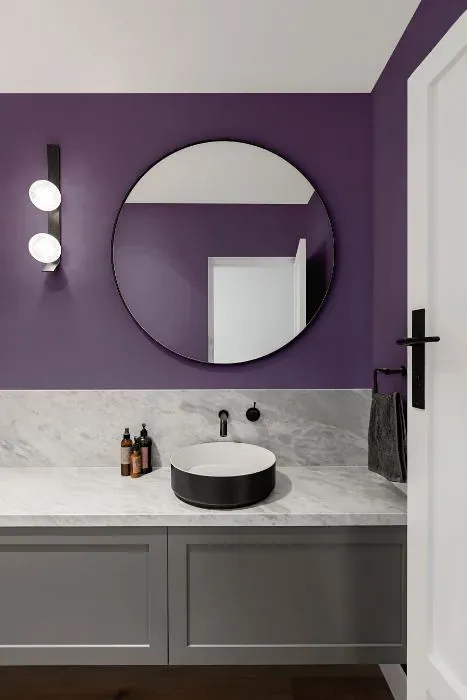 Sherwin Williams Wood Violet minimalist bathroom
