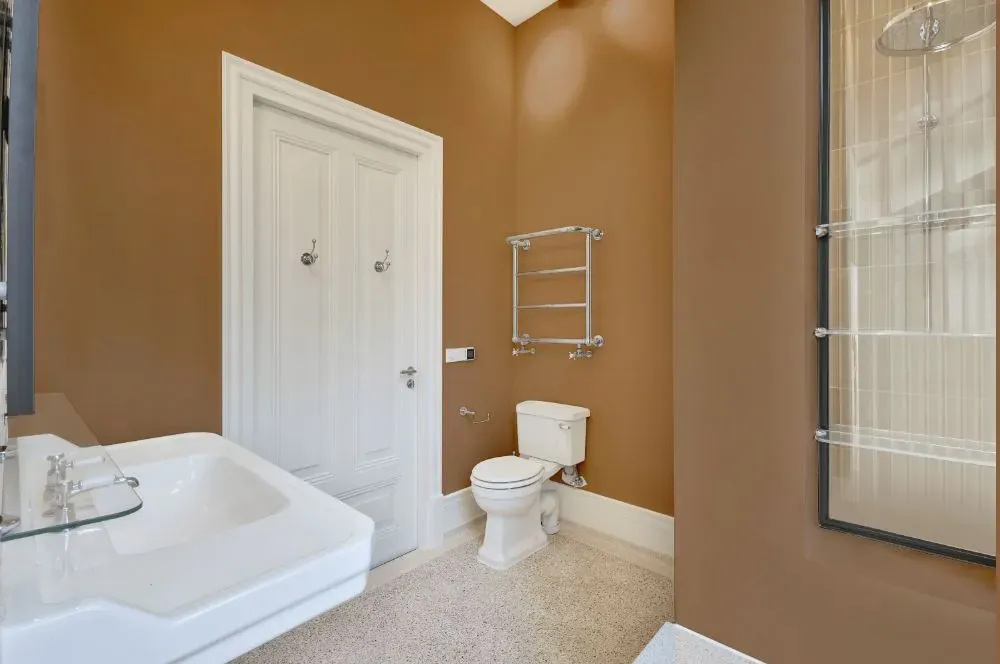 Sherwin Williams Yearling bathroom