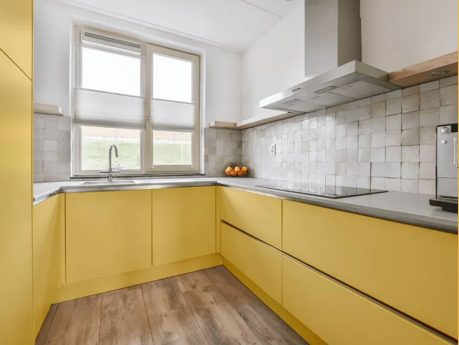 Sherwin Williams Yellow Bird small kitchen cabinets