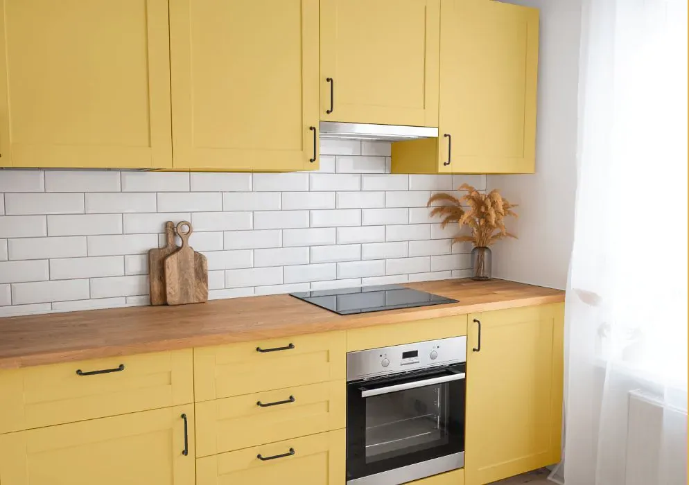 Sherwin Williams Yellow Bird kitchen cabinets
