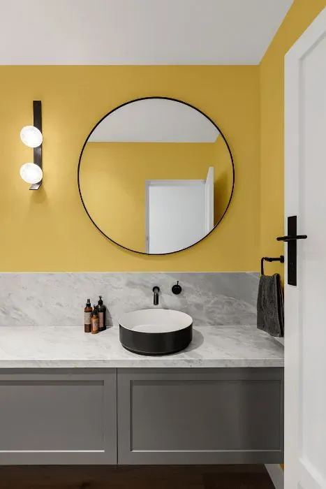 Sherwin Williams Yellow Bird minimalist bathroom